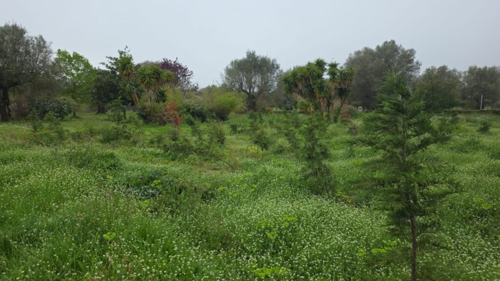 WhatsApp Image 2026 04 19 at 09.37.24 1