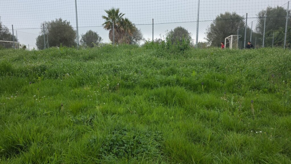 WhatsApp Image 2026 04 19 at 09.37.24