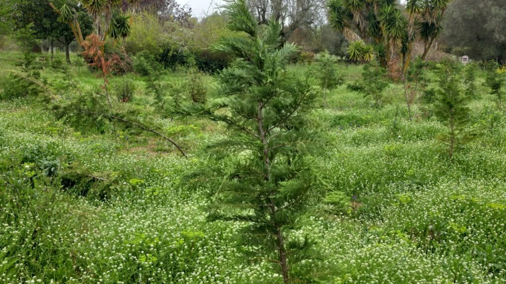 WhatsApp Image 2026 04 19 at 09.37.24 2