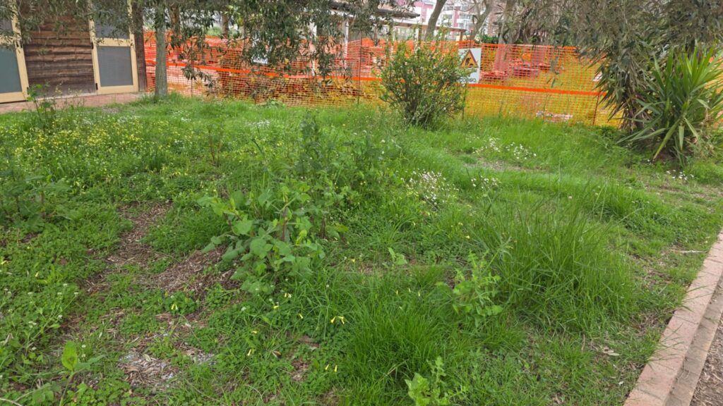 WhatsApp Image 2026 04 19 at 09.37.24 3