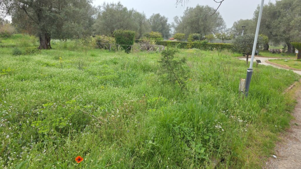 WhatsApp Image 2026 04 19 at 09.37.25 1