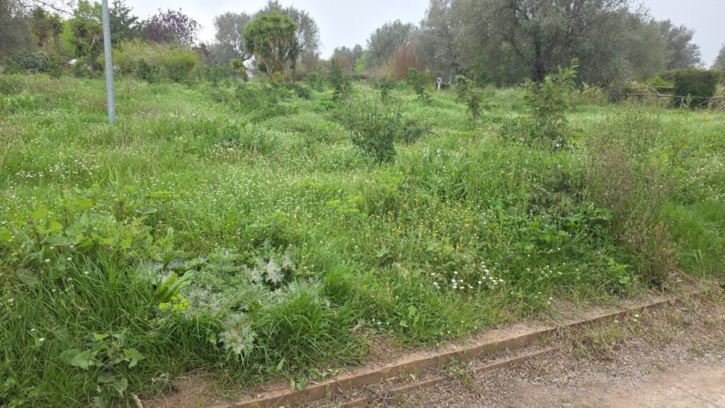 WhatsApp Image 2026 04 19 at 09.37.25