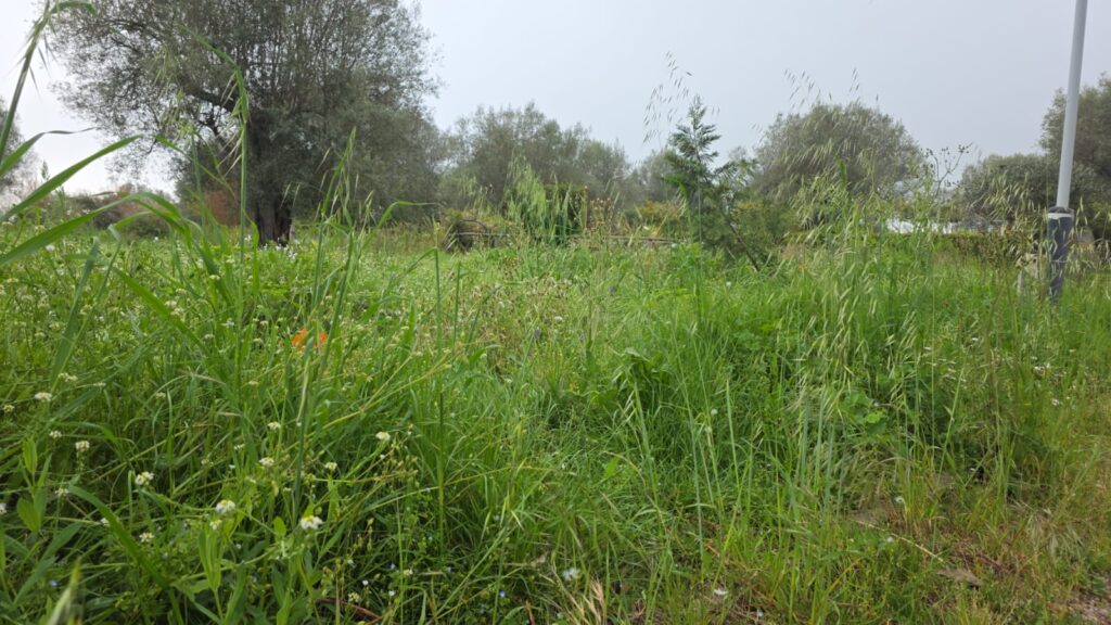 WhatsApp Image 2026 04 19 at 09.37.25 2