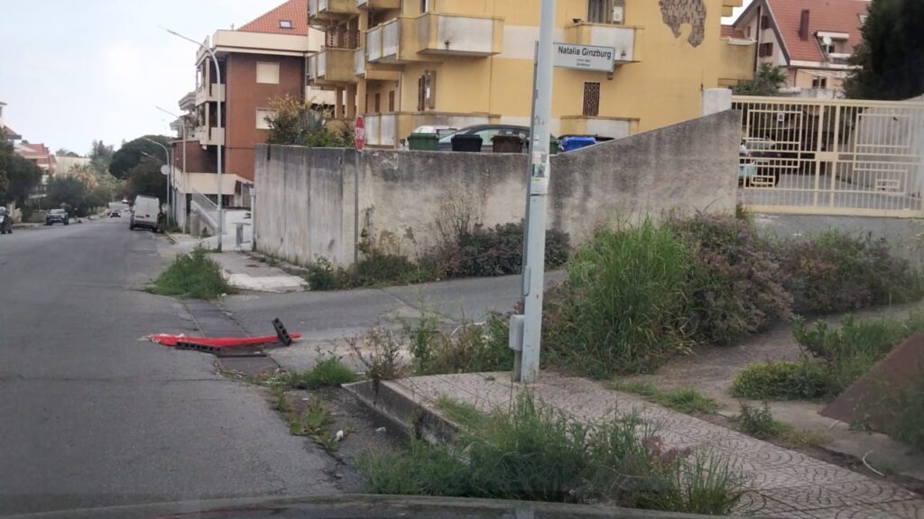 WhatsApp Image 2026 04 20 at 10.23.46