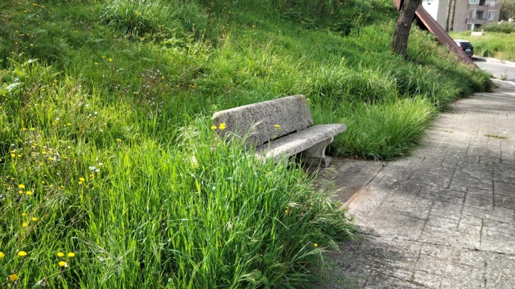 WhatsApp Image 2026 04 20 at 10.23.47 5