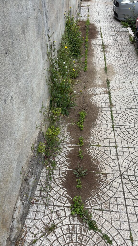 WhatsApp Image 2026 04 20 at 10.23.48 1