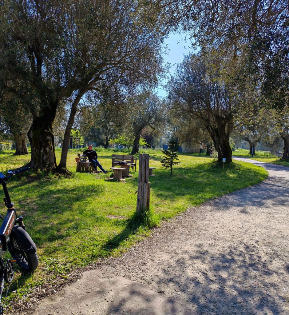 WhatsApp Image 2026 04 21 at 01.06.12 1