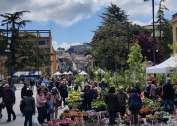 Un altro motivo di soddisfazione per l’assessore Ketty De Luca: il successo di ViboFiorArt
