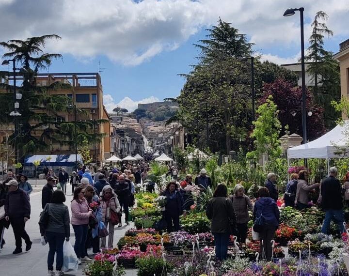 Un altro motivo di soddisfazione per l’assessore Ketty De Luca: il successo di ViboFiorArt