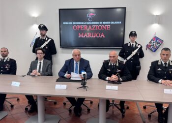 Operazione dei Carabinieri all’alba: sgominata banda del terrore formata da ventenni (VIDEO)