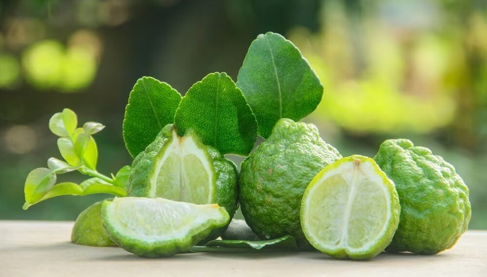 Marchio IGP per il bergamotto: l’iter va avanti. Il TAR Lazio ha respinto la sospensiva: udienza il 22 settembre