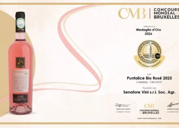 Calabria protagonista al Concours Mondial de Bruxelles: doppio successo tra organizzazione e qualità dei vini