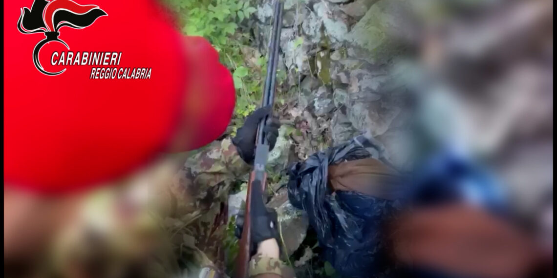 Ritrovato dai Carabinieri un piccolo arsenale nascosto in un muretto a secco a Ciminà (VIDEO)