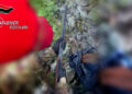 Ritrovato dai Carabinieri un piccolo arsenale nascosto in un muretto a secco a Ciminà (VIDEO)