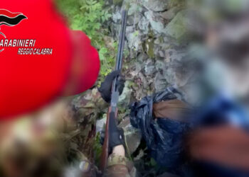 Ritrovato dai Carabinieri un piccolo arsenale nascosto in un muretto a secco a Ciminà (VIDEO)