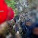 Ritrovato dai Carabinieri un piccolo arsenale nascosto in un muretto a secco a Ciminà (VIDEO)