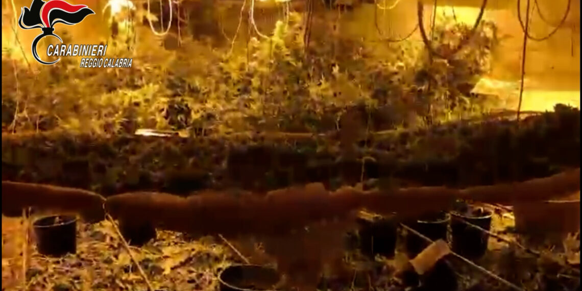 I Carabinieri scoprono un bunker con una serra clandestina (VIDEO)