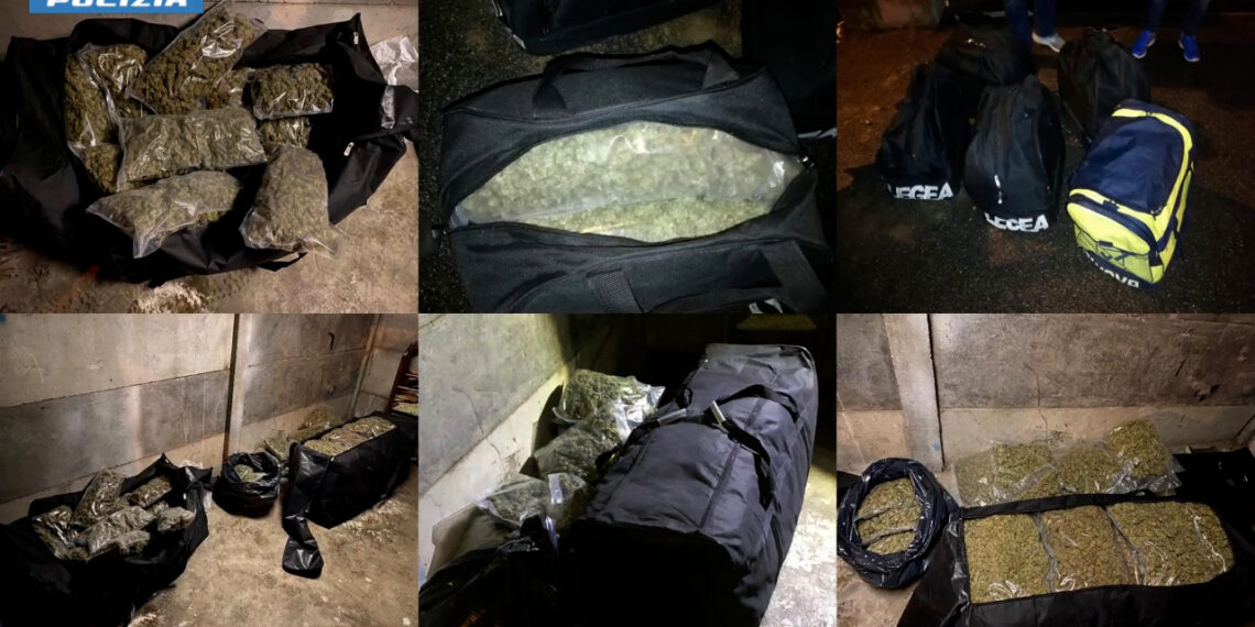 54 misure cautelari nel Vibonese (VIDEO e NOMI)