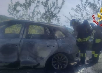 Auto prende fuoco tra Filogaso e Vazzano