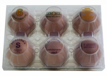 Richiamati tre lotti di uova in seguito ad un allarme salmonella