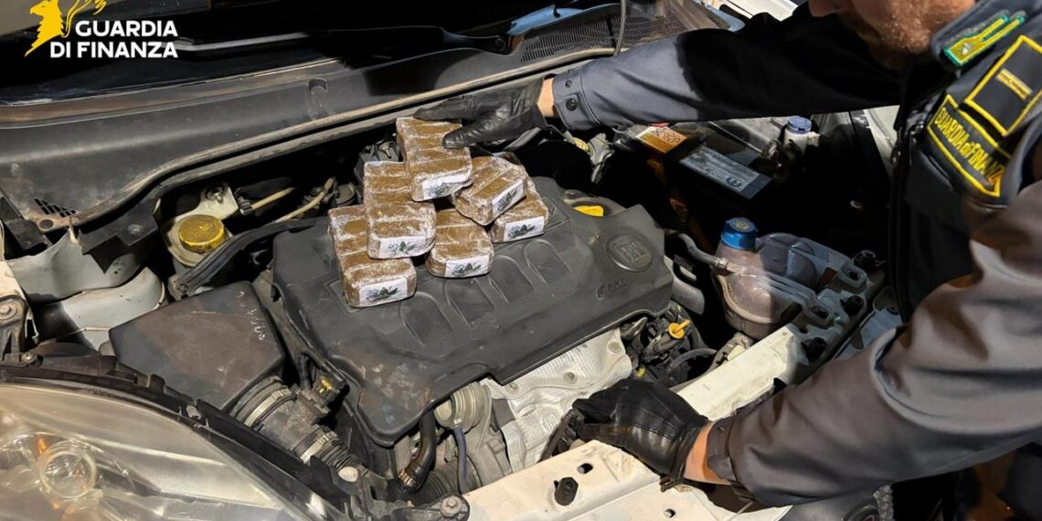 Cetraro, le Fiamme Gialle scoprono e sequestrano oltre 8 kg di hashish (VIDEO)