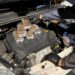 Cetraro, le Fiamme Gialle scoprono e sequestrano oltre 8 kg di hashish (VIDEO)