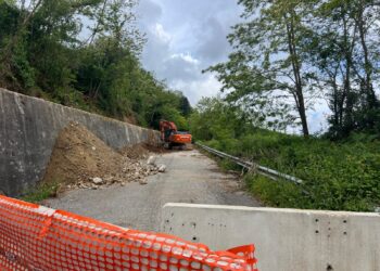 L’amministrazione provinciale avvia i primi interventi per il ripristino della percorribilità sulla S.P. 53