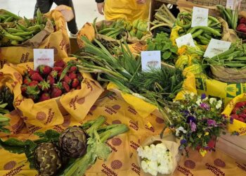 Coldiretti Calabria: italianità leader nel carrello della spesa. Filiera cibo vale 707 miliardi. In Calabria circa 3miliardi 3 Coldiretti Calabria: italianità leader nel carrello della spesa. Filiera cibo vale 707 miliardi. In Calabria circa 3miliardi