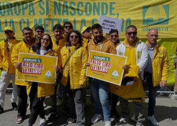 Etichettatura: Coldiretti Calabria, da un milione di firme spinta UE su origine obbligatoria e revisione del codice doganale 1 Etichettatura: Coldiretti Calabria, da un milione di firme spinta UE su origine obbligatoria e revisione del codice doganale