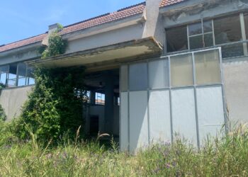 Vibo Valentia, in avvio i lavori di ripristino e riqualificazione dei Mercati Generali