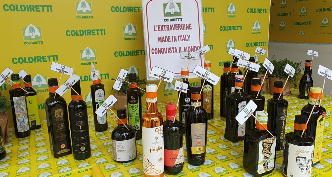 Olio calabrese, patrimonio da proteggere: Coldiretti Calabria chiede controlli anti-frode e stop a trafficanti e sottocosto 