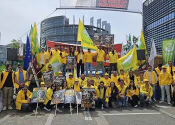 UE: Coldiretti Calabria, raccolti a rischio con +81% prezzi fertilizzanti, serve cancellare le follie da Green deal