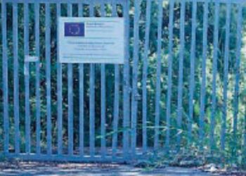 Tragedia sul lavoro a Francavilla Angitola