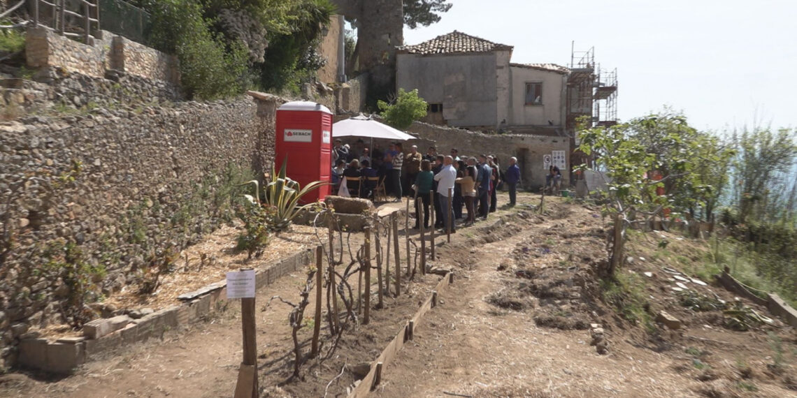 L’Associazione La Goccia ha realizzato il 1° Corso di Orticoltura Sinergica certificata