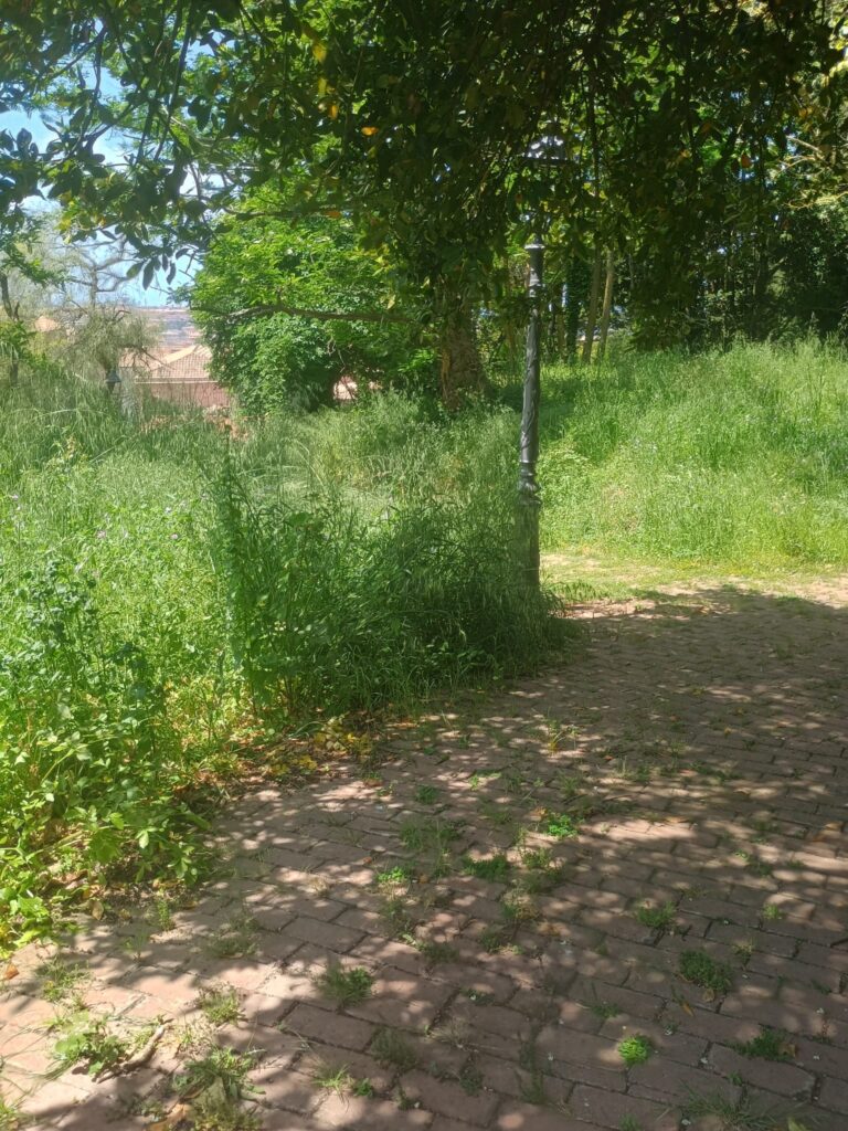 WhatsApp Image 2026 05 10 at 19.13.07 4