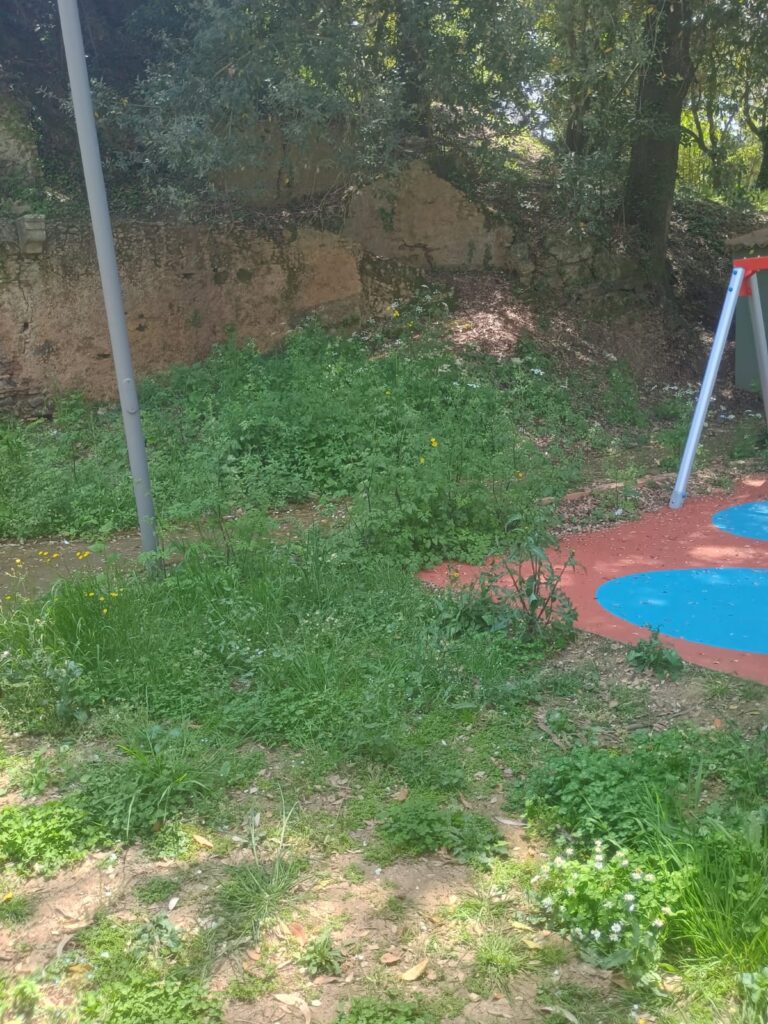 WhatsApp Image 2026 05 10 at 19.13.07 5