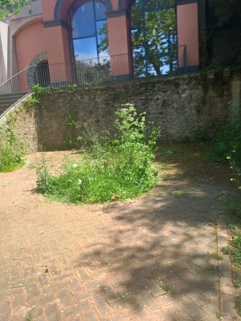 WhatsApp Image 2026 05 10 at 19.13.08 2
