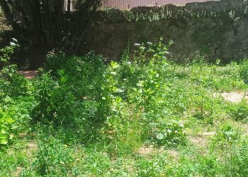 Villa Gagliardi, dalla rinascita all’abbandono: così la città sta tradendo uno dei suoi simboli più belli (FOTO)