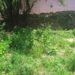 Villa Gagliardi, dalla rinascita all’abbandono: così la città sta tradendo uno dei suoi simboli più belli (FOTO)