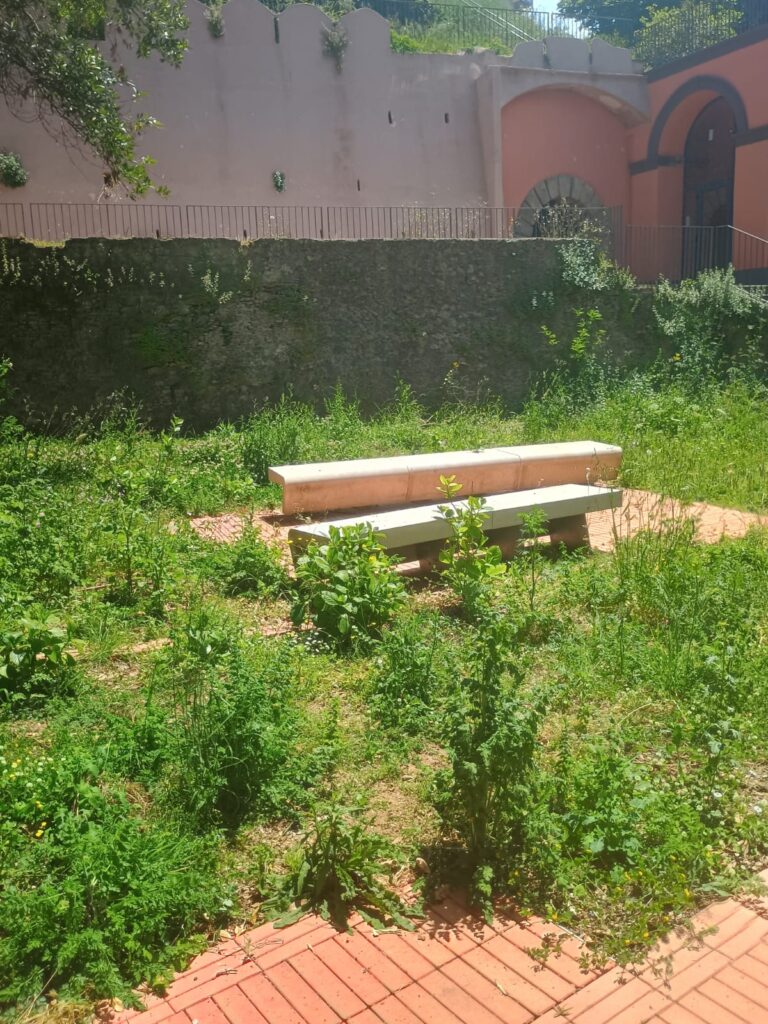 WhatsApp Image 2026 05 10 at 19.13.12 3