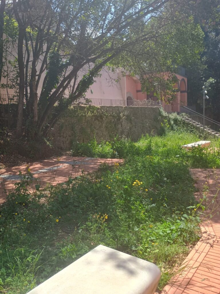 WhatsApp Image 2026 05 10 at 19.13.13