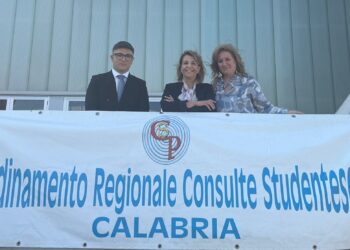 Le Consulte studentesche della Calabria al Career Day di Unindustria