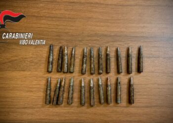 Fabrizia: rinvenute 21 cartucce occultate tra la vegetazione sequestrate dai carabinieri