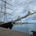 Nave Italia approda a Vibo Marina: il brigantino solidale incanta il porto di Santa Venere (VIDEO) 11 Nave Italia approda a Vibo Marina: il brigantino solidale incanta il porto di Santa Venere (VIDEO)