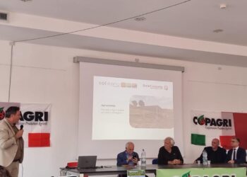 Francesco Macrì (Copagri): indispensabile attivare e gestire le energie rinnovabili in particolare l’agrivoltaico 1 Francesco Macrì (Copagri): indispensabile attivare e gestire le energie rinnovabili in particolare l’agrivoltaico