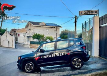 Viola gli obblighi della sorveglianza speciale, i carabinieri effettuano un arresto a Jonadi