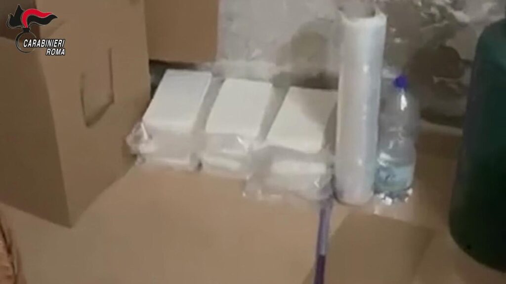 Maxi operazione antidroga dei Carabinieridi Civitavecchia (VIDEO) 3 WhatsApp Image 2026 05 26 at 07.21.56