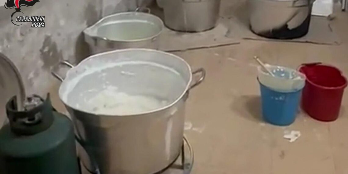 Maxi operazione antidroga dei Carabinieridi Civitavecchia (VIDEO) 1 Maxi operazione antidroga dei Carabinieridi Civitavecchia (VIDEO)