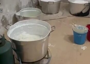Maxi operazione antidroga dei Carabinieridi Civitavecchia (VIDEO) 9 Maxi operazione antidroga dei Carabinieridi Civitavecchia (VIDEO)