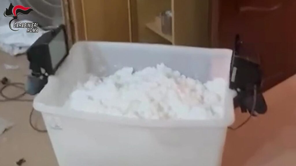 Maxi operazione antidroga dei Carabinieridi Civitavecchia (VIDEO) 2 WhatsApp Image 2026 05 26 at 07.22.12